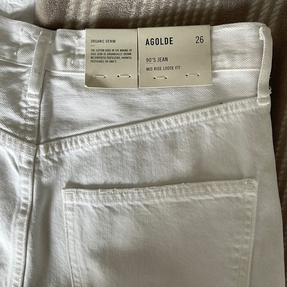 NWT Agolde 90s Jean in Vanish